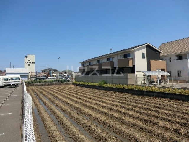 11/19 その他画像