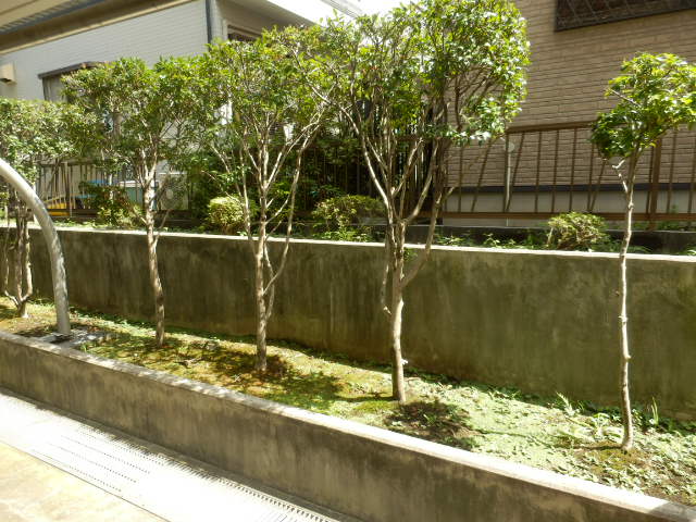 15/21 バルコニー