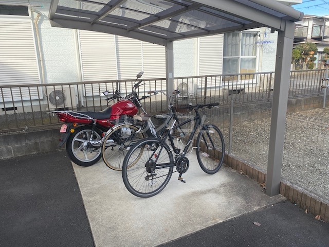 15/21 その他画像