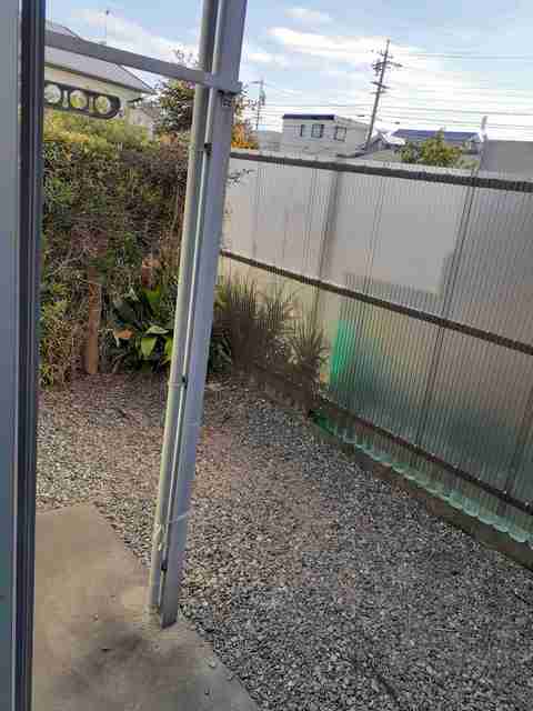 11/23 その他画像