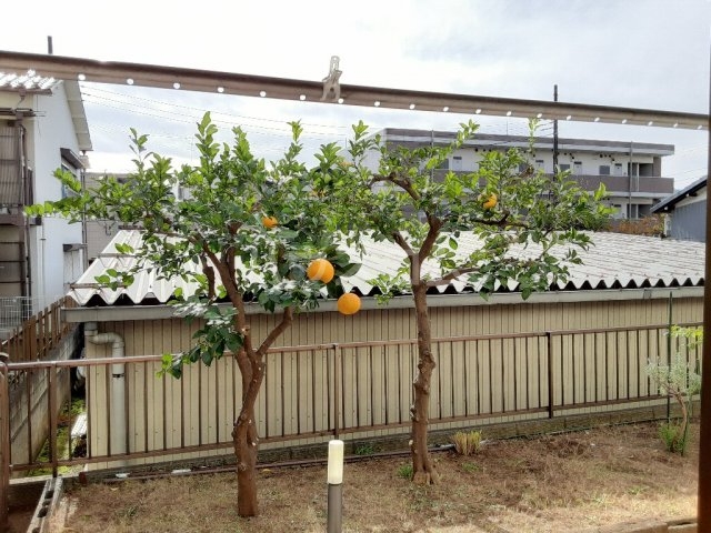 17/28 その他画像