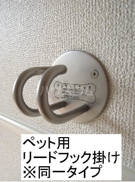 15/21 その他画像