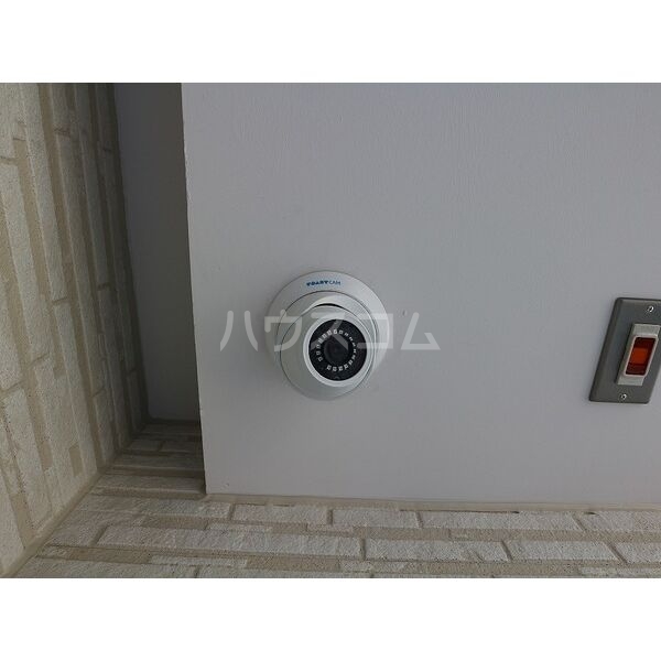 25/30 その他画像