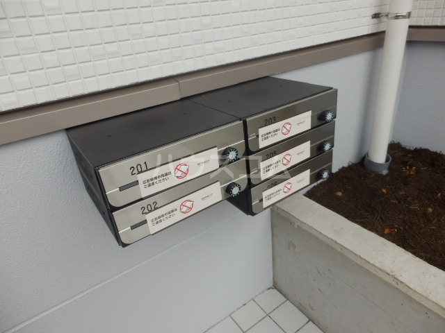 19/24 その他画像