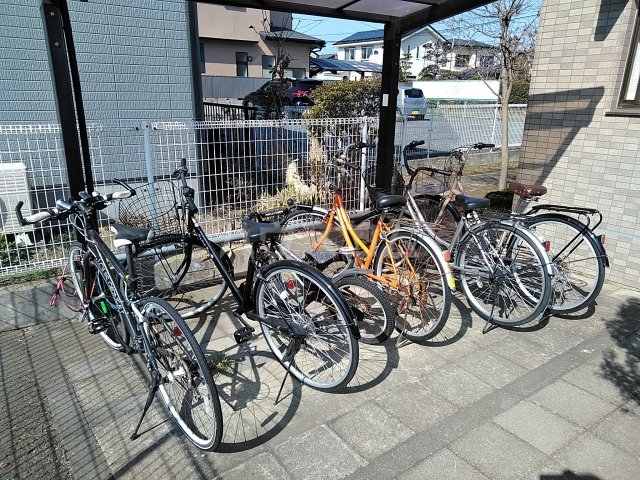 21/24 その他画像