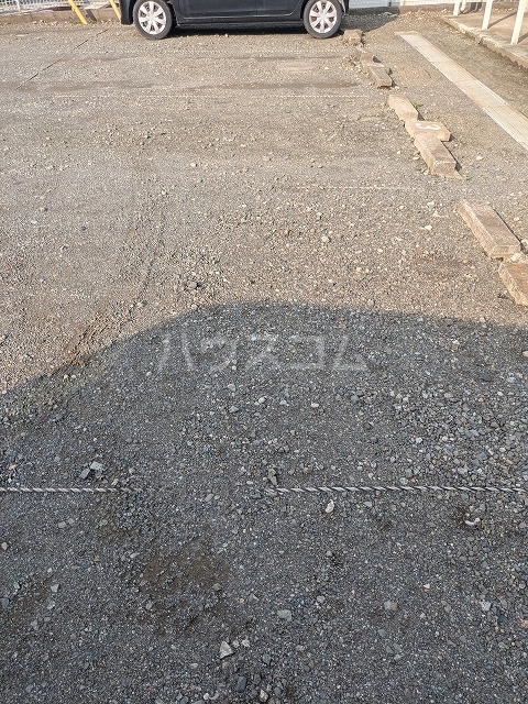 3/14 その他画像