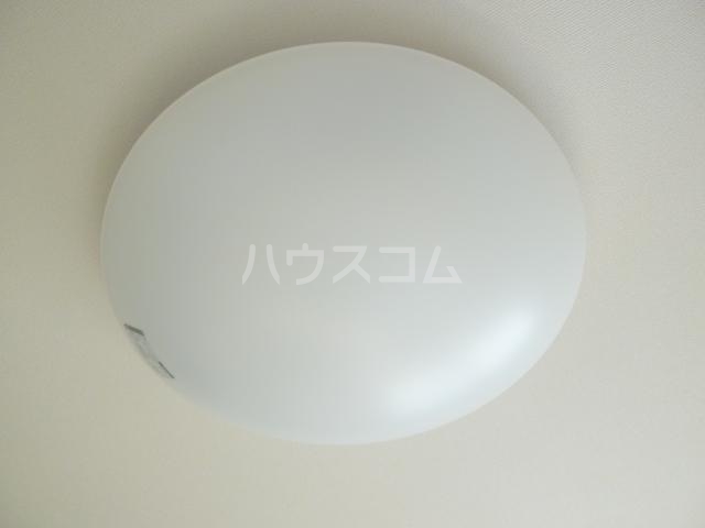 21/29 その他画像