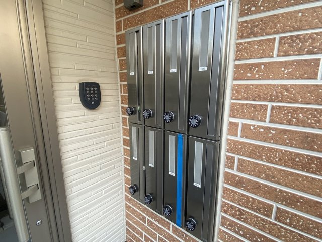 20/30 その他画像