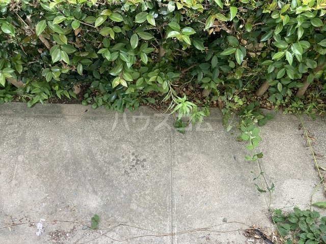 28/30 その他画像