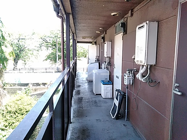 20/30 その他画像