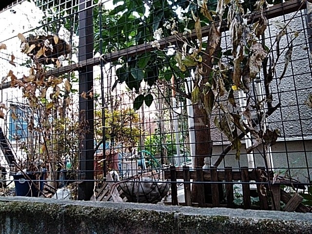 17/19 その他画像