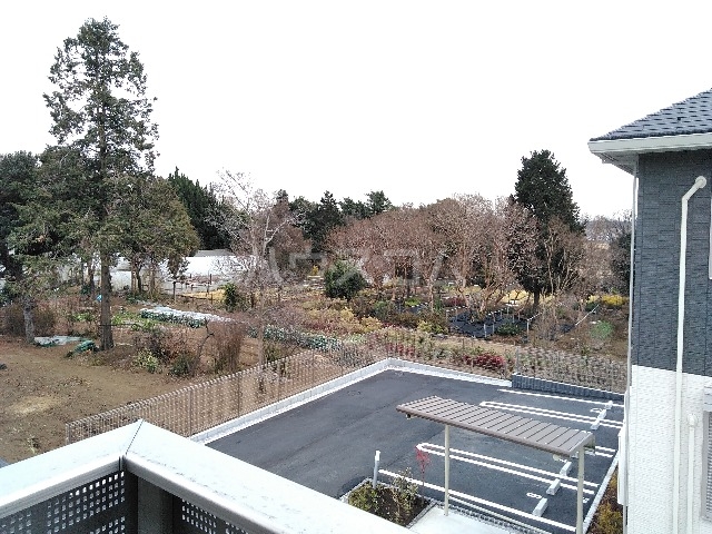 21/30 その他画像