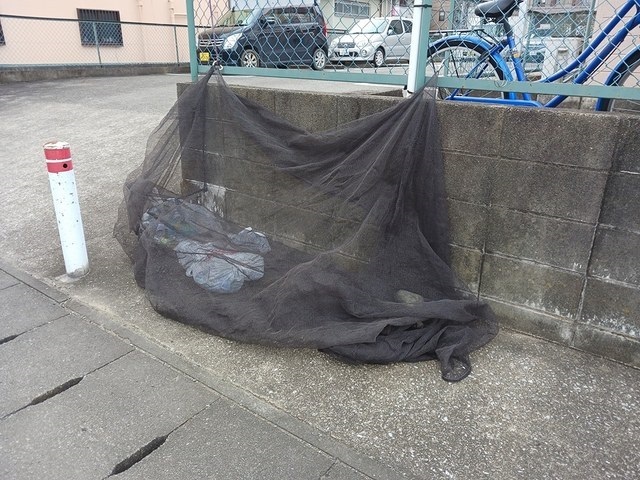 13/22 その他画像