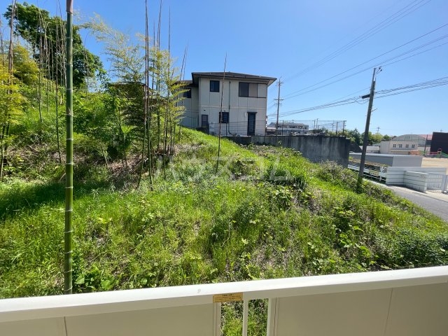 29/30 その他画像