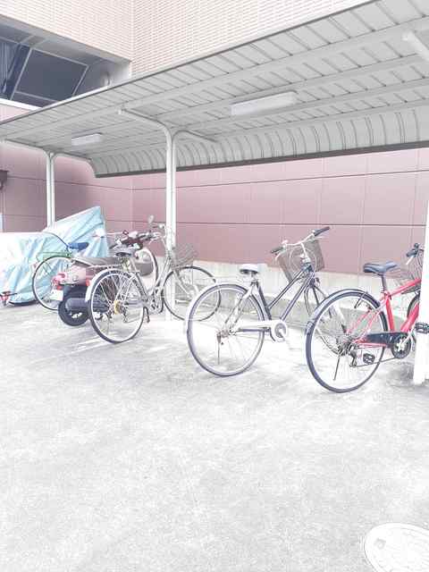 12/20 その他画像