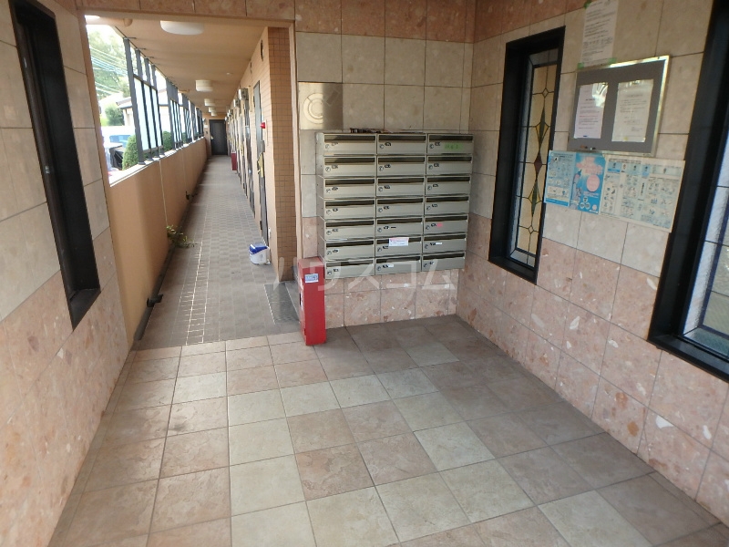 15/19 その他画像