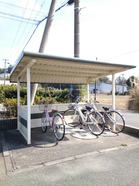 11/20 その他画像