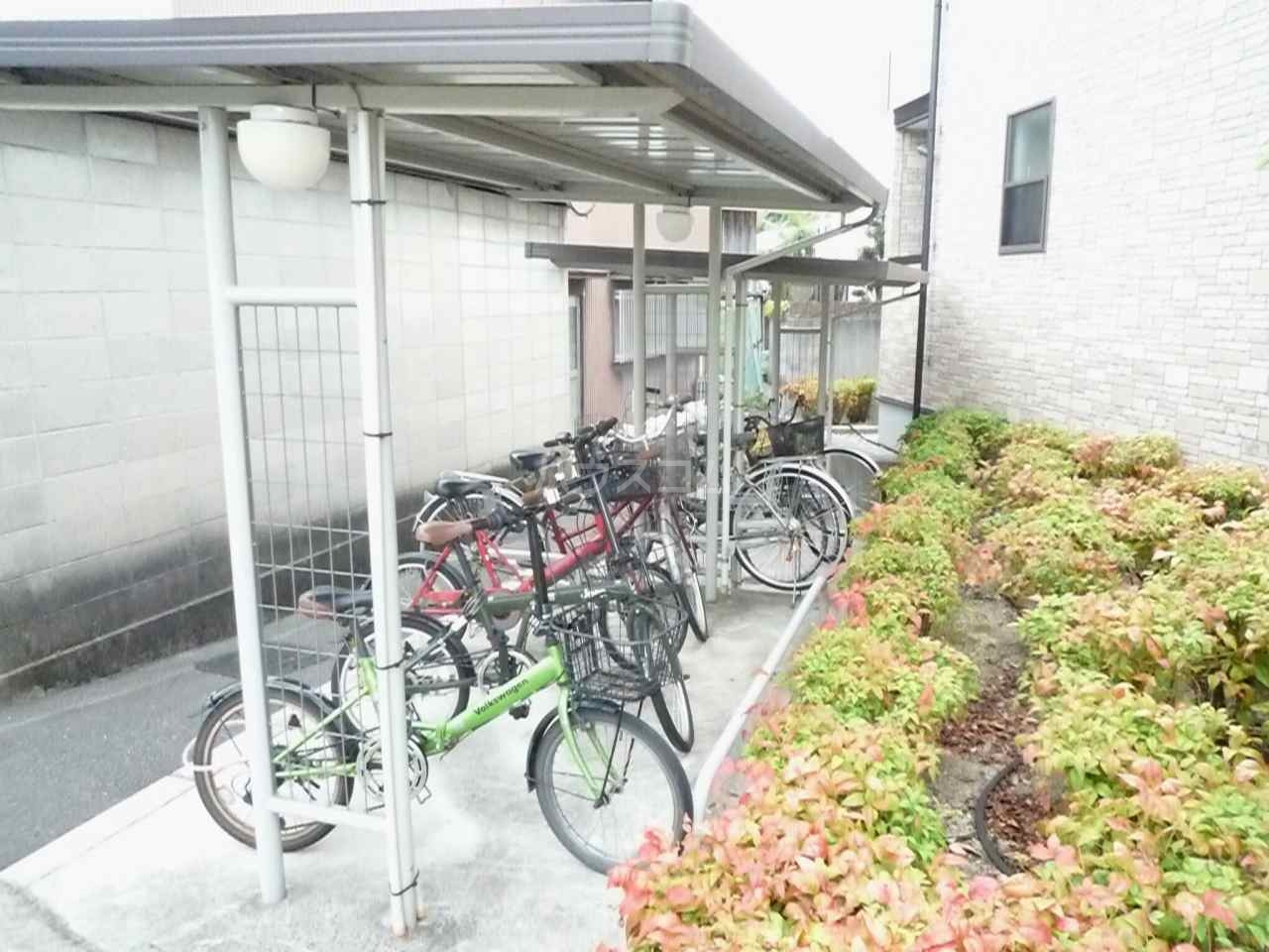 12/20 その他画像