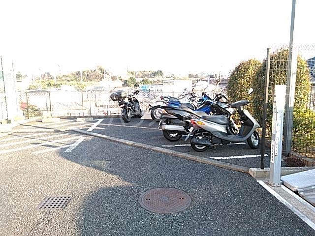 3/9 駐車場