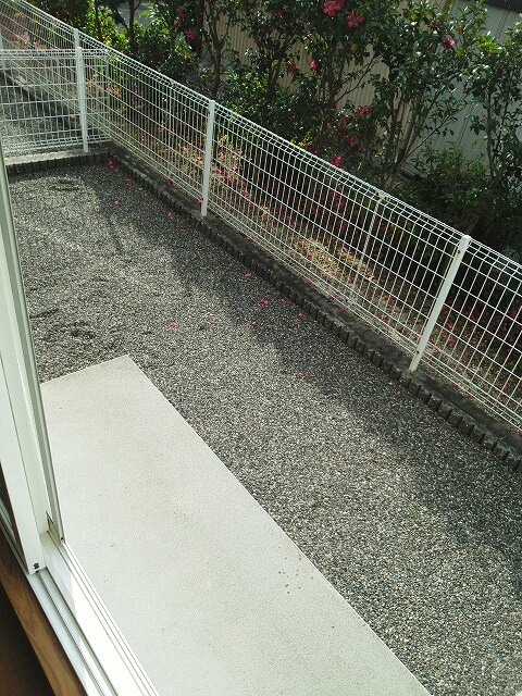 12/22 その他画像