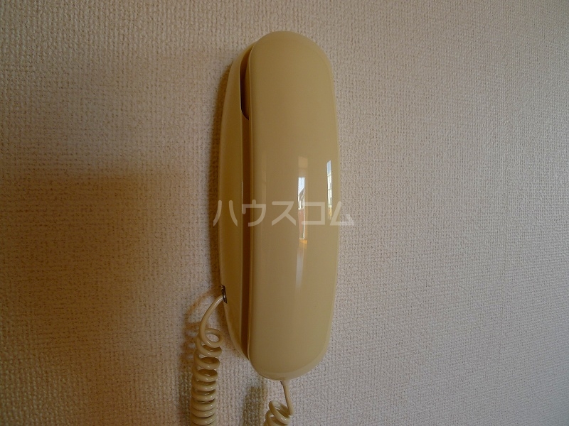 13/21 その他画像