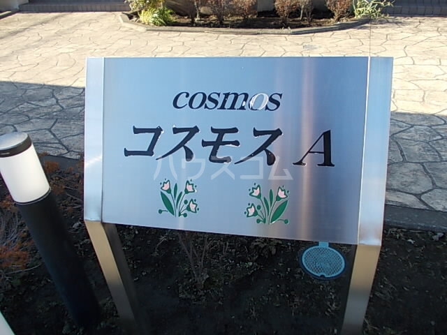 19/27 その他画像