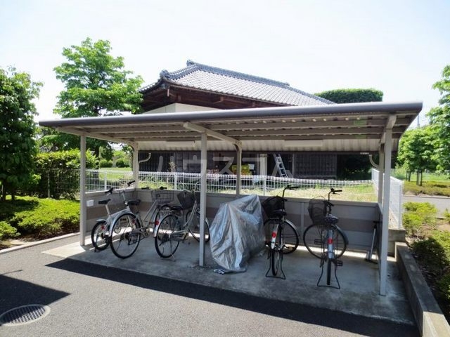 11/20 その他画像