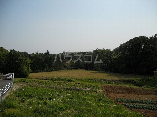 20/26 その他画像