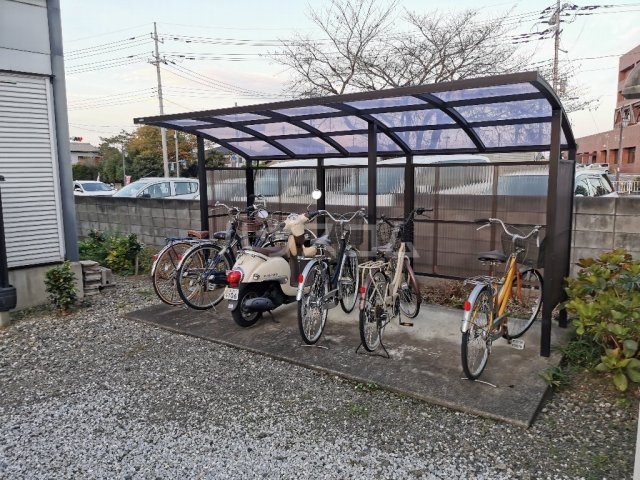 20/30 その他画像