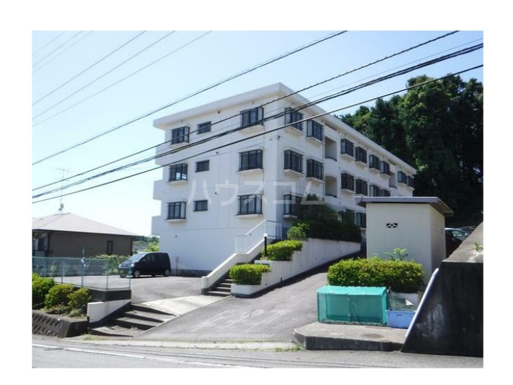 3/13 その他画像