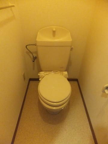 11/28 トイレ