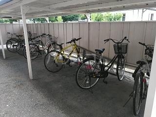 14/25 その他画像