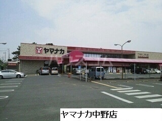 3/17 周辺