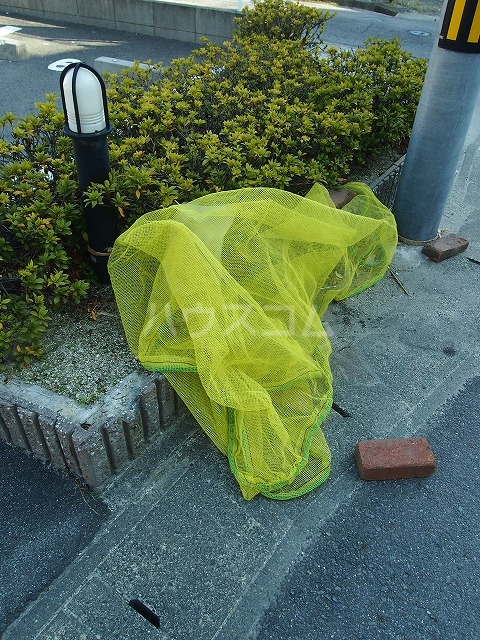 12/20 その他画像