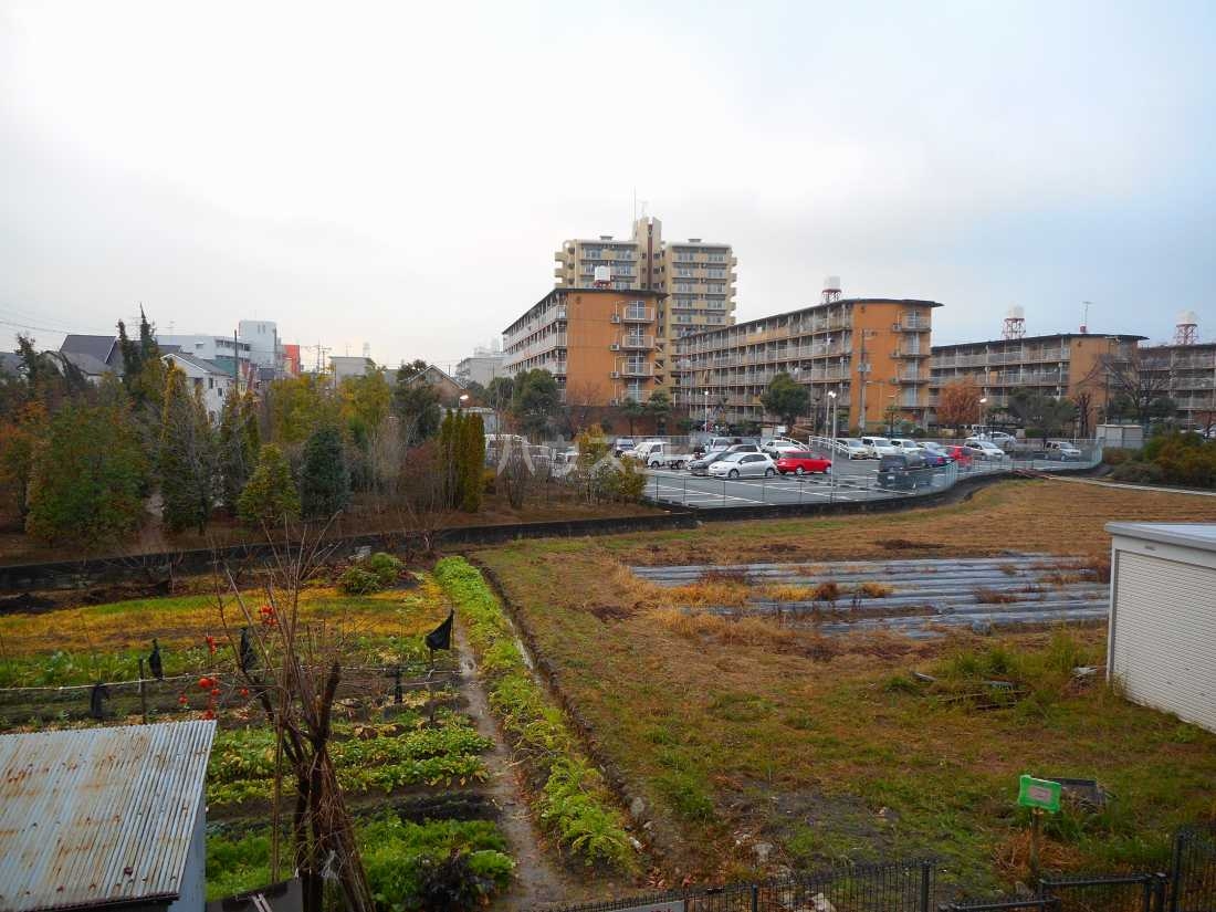 13/26 その他画像