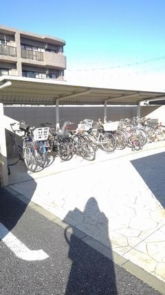 12/20 その他画像