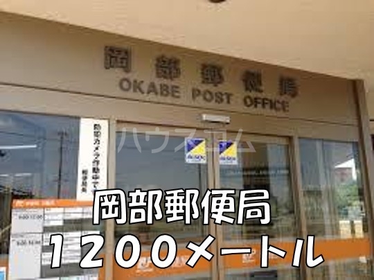 20/30 周辺