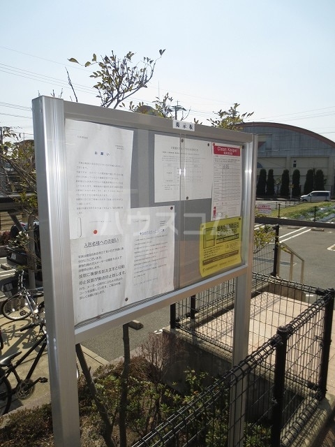 5/21 その他画像