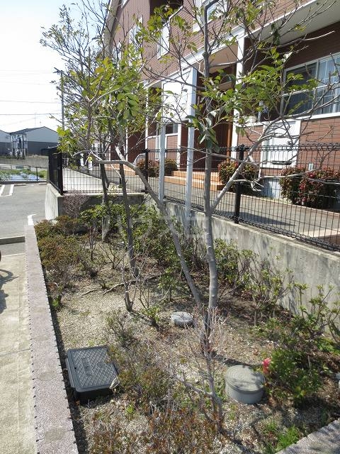 6/21 その他画像