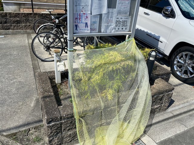 18/29 その他画像