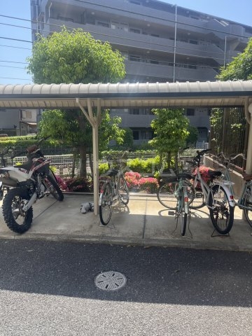 その他画像