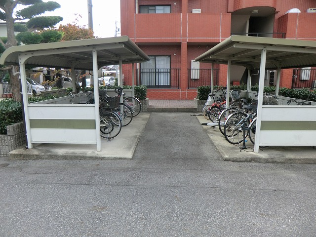 20/30 その他画像