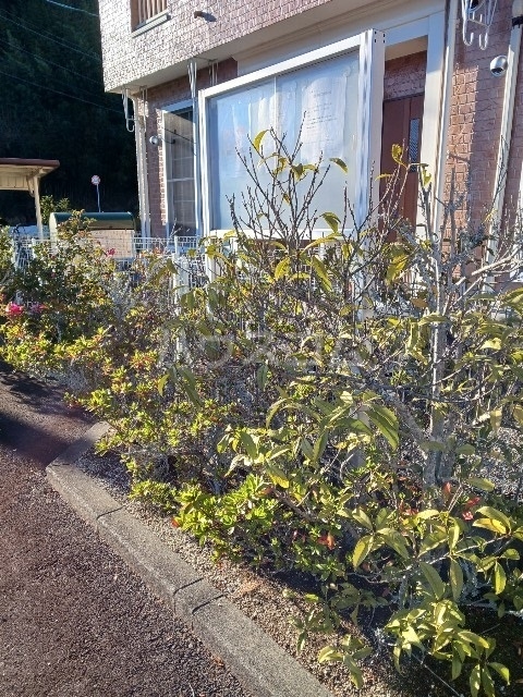 9/21 バルコニー