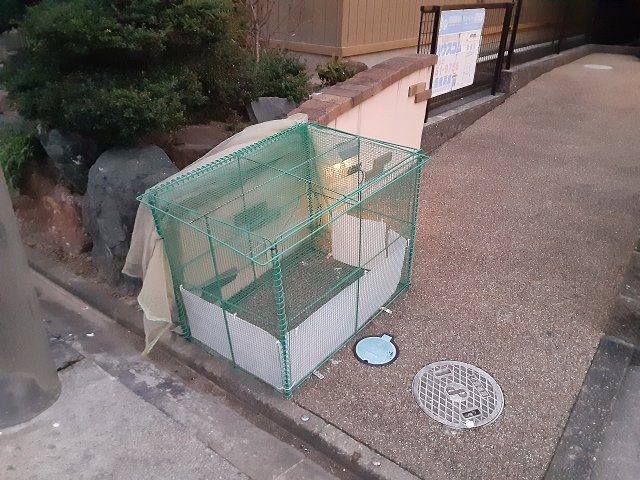 21/29 その他画像