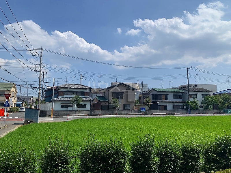 15/23 その他画像