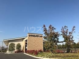 17/28 周辺