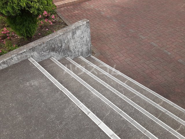 21/29 その他画像