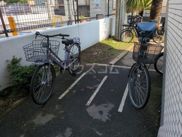 8/19 その他画像