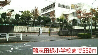 5/13 周辺