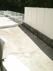 12/20 その他画像